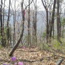 하도리경로당 이미지