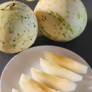 선이네농장 이미지