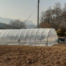 진혁농장 이미지