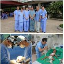 부산대학교병원 이미지