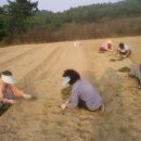 관춘농장 이미지