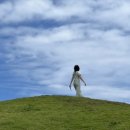 한라콜세탁 | 6월의 제주도