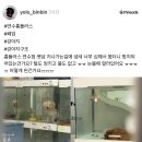 보배펫 이미지