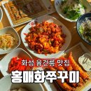 홍매화쭈꾸미