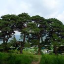 덕산저수지 이미지