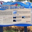 장골식당