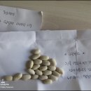 그린빈스커피 이미지