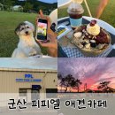 우신약품 | 군산 수영장이 있는 애견카페 개정 피피엘 2일 연속 방문 후기