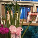 개미집 상암점 이미지