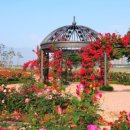 장미정원 이미지