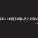 일송식품