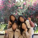 동백꽃약국 이미지