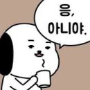 페셰 이미지