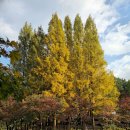 청주 청남대 가을축제 (2025.11.02) 이미지