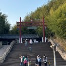 김순옥 | [담양] 겨울 대나무 알차게 즐기기 ‘죽녹원’, ‘김순옥 댓잎 찹쌀도넛’ 방문 후기