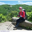 자연과함께(주) 이미지