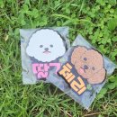 선희슈퍼 - 춘천시 효석로9번길 16 | 선희슈퍼
