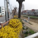 병천-16-03 이미지