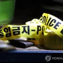 차량서 극단 선택 시도 20대 남성 …20대 여성 살해 용의자로 긴급체포 이미지