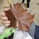 그루밍원투 | 11~12月 - 길을 터 보일게