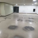 리얼광택