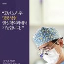 분당-254 이미지