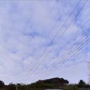 파아란 숲길 펜션 이미지