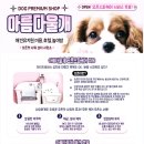 아름다울, 개 이미지