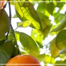 탐정행정사무소 이미지