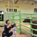 가-31 | 김포 아이와 가볼만한 곳, 연보람목장 체험 후기! 31개월 아기도 푹 빠진 낙농체험 🐄🍼