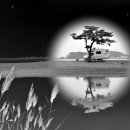 별이빛나는밤에 이미지