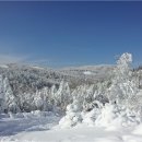 강원 평창 선자령 눈꽃산행(2015.01.25 넷째일요일) 이미지