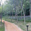 명동공원 이미지