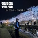 씨유천안원성제일점 | 천안 원성천 벚꽃 나들이 주차 팁 포토스팟추천