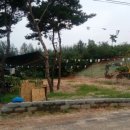 독자유원지 이미지