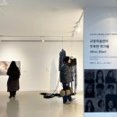 [전시] 전북 전주 ‘2024 교동미술관이 주목한 작가들 - Alive, Blue!’ 개최 이미지
