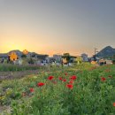 공원팥빙수 이미지