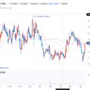 금양오션(주) 이미지