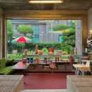 올드 트리 이미지