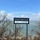 원산도 제1주차장 이미지