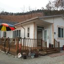 갈망개 민박 이미지