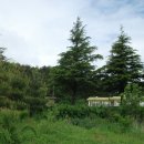 공현진초등학교 이미지