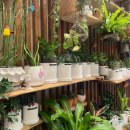 더블라썸플라워샵 이미지