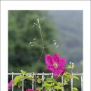 가람농원 이미지