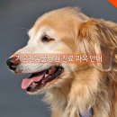 기운찬동물병원 이미지