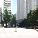서동부동산 네이버블로그