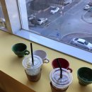 보니또펫 이미지