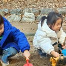 영통중앙공원 | 광교중앙공원 유아숲체험원 | 봄에 가기 좋은 숲놀이터