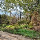 용포농장 이미지