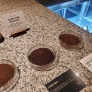 수원역로데오거리 이미지